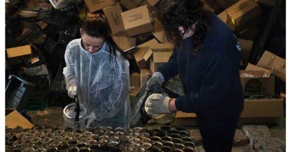 Apkasų žvakių gamyba